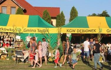 ZDJ (211)