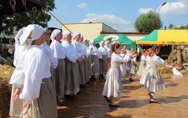 ZDJ (121)