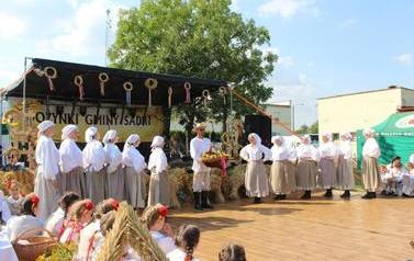 ZDJ (111)