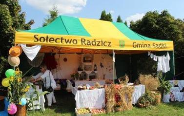ZDJ (66)