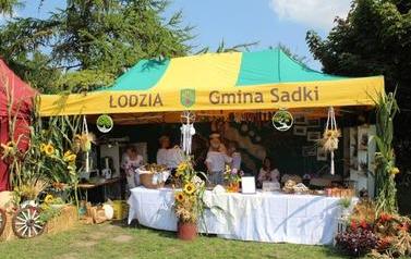 ZDJ (65)
