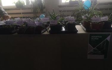 foto21