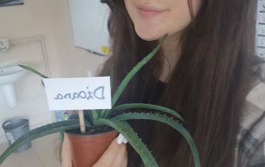 foto12