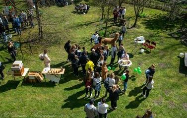 foto81