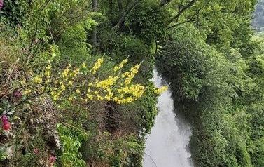 foto19
