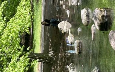 foto10