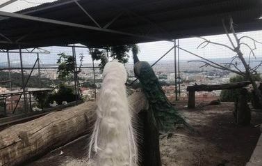 foto4