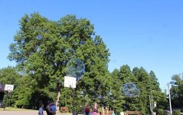 Piknik prozdrowotny w Radziczu 35