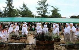 IMG_3055