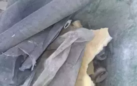 1 (15)