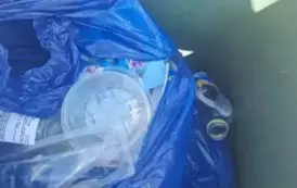 1 (13)
