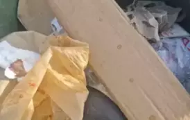 1 (10)
