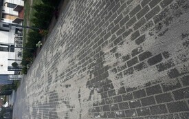IMG_9203.jpeg