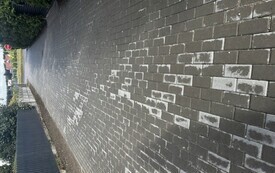 IMG_9178.jpeg