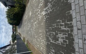 IMG_9175.jpeg