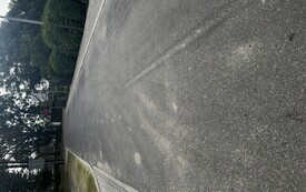 IMG_8574.jpeg