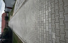 IMG_8559.jpeg