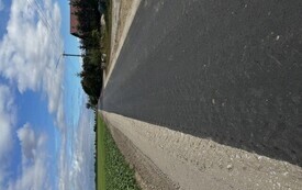 IMG_9401.jpeg