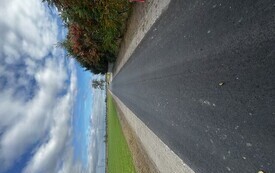 IMG_9395.jpeg