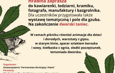 Zdjęcie do Piknik u Hrabiny już w najbliższy piątek!