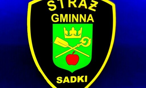Zdjęcie do Dzień Straży Gminnej!