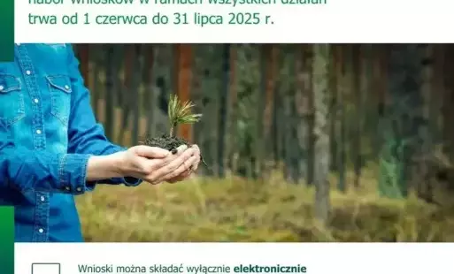 Zdjęcie do Lasy rosną ze wsparciem