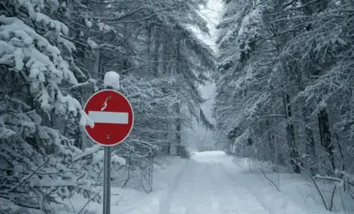 Zdjęcie do Nadleśnictwo Szubin wprowadza okresowy zakaz wstępu do lasu!
