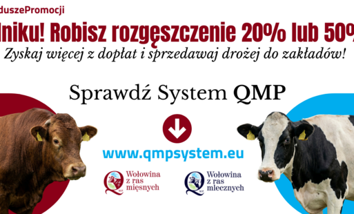 Zdjęcie do Ekoschemat &bdquo;Dobrostan zwierząt&rdquo; Dodatkowe pieniądze dla hodowc&oacute;w z QMP &ndash; tylko do 15 maja!